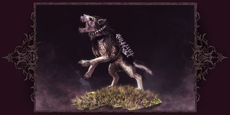 Lobo de Caça do Apocalípse